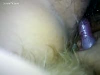 Beastiality XXX - Hairy cum-hole drilled by a unshaved doggy